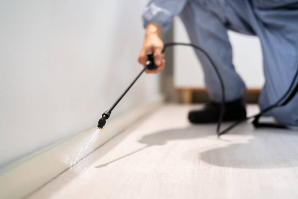 Licensed Cockroach Control service in Center Point, IA - Nex Pest Control