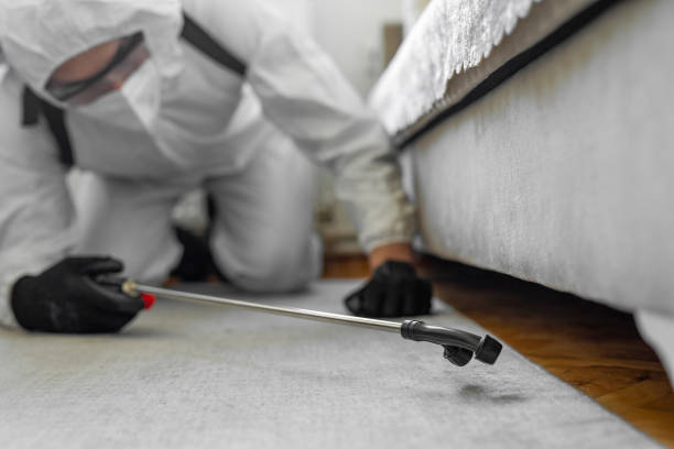 Professional Cockroach Control technician working in Center Point, IA