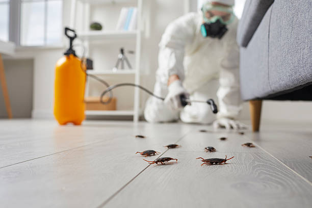 Affordable Cockroach Control solutions in Center Point, IA