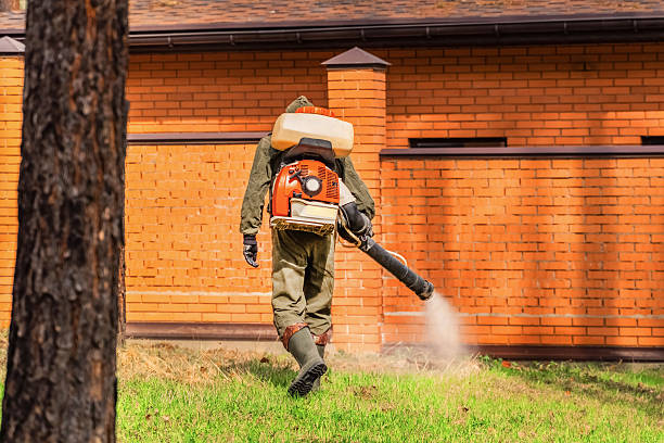 Top rated local Cockroach Control specialists in Center Point, IA